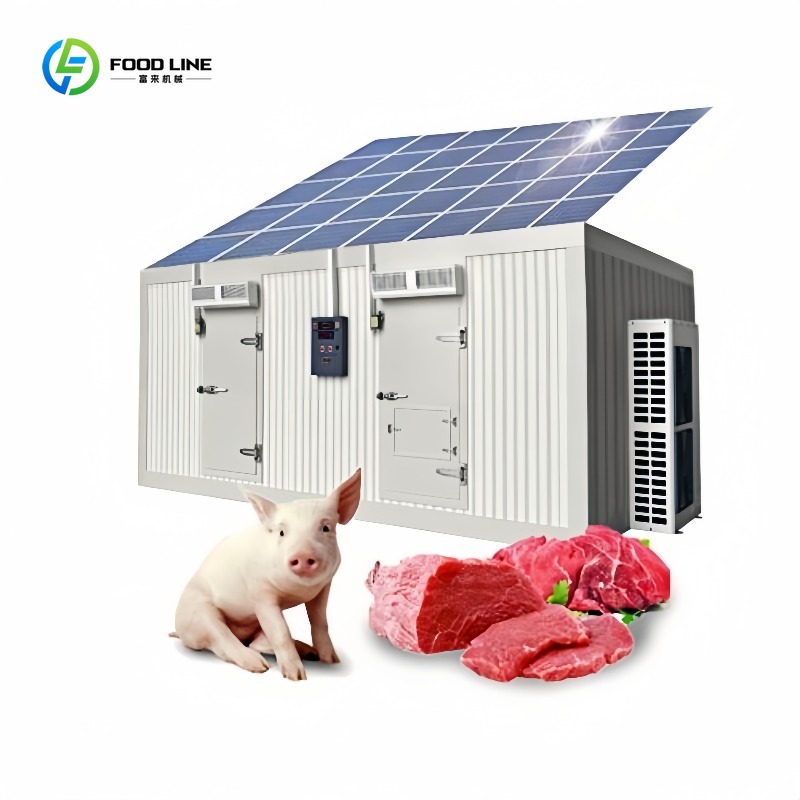 Food Storage Room - Commercial 20Ft Solar Freezer Container Cold