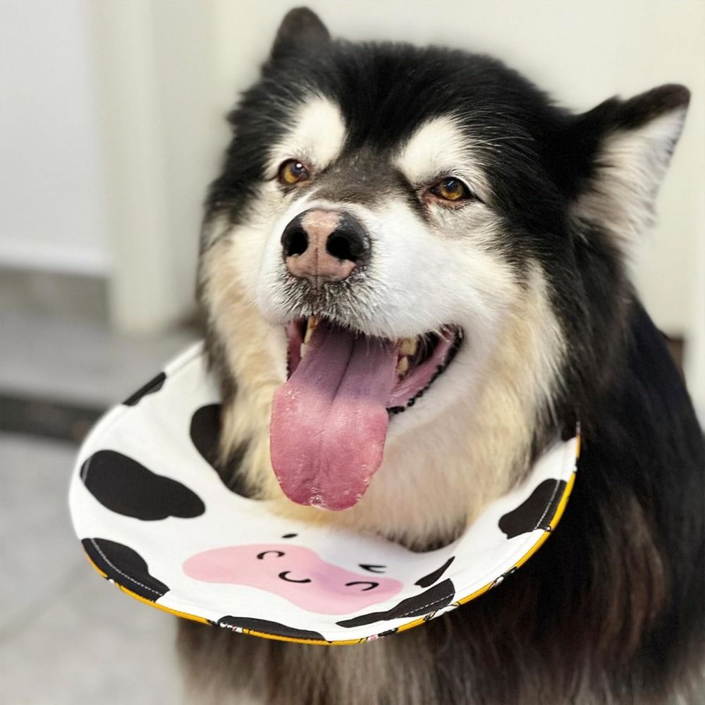 Food Storage With Scoop - Waterproof Dog Drool Bib Bandana Adjustable