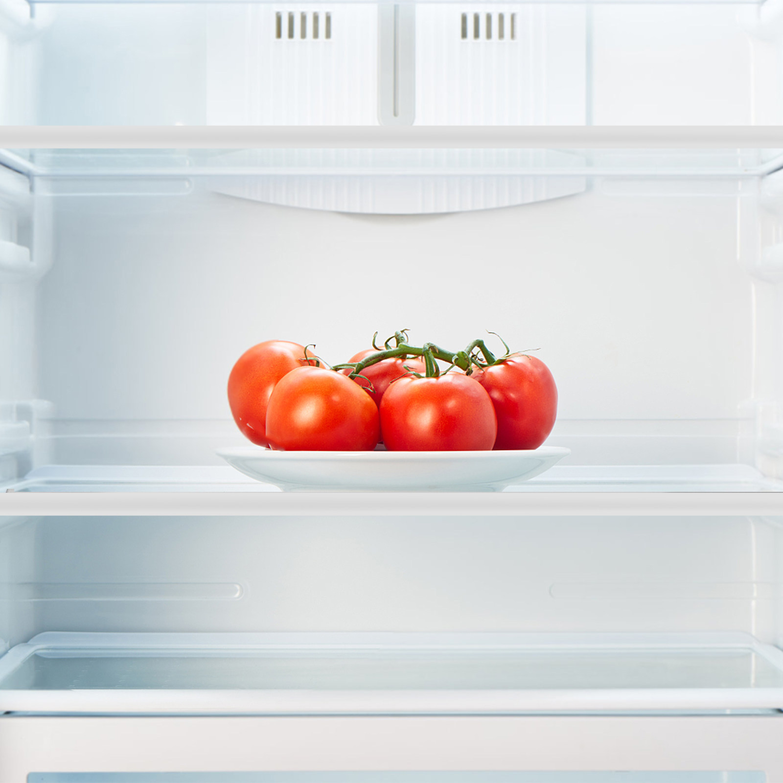 Tempered Glass Fridge Divider  - đánh giá và giá Food Storage With Dividers