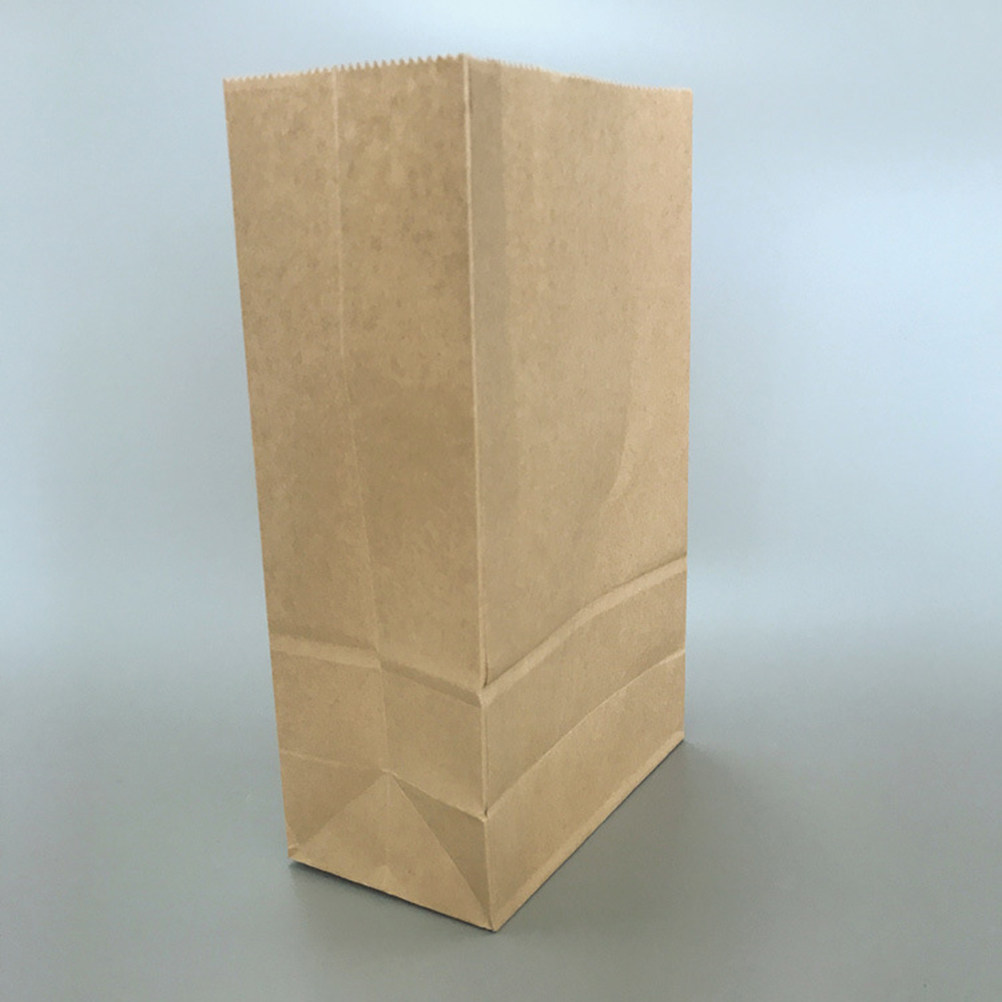 100pcs Kraft Paper Bag Small S - đánh giá và giá Food Storage Bag