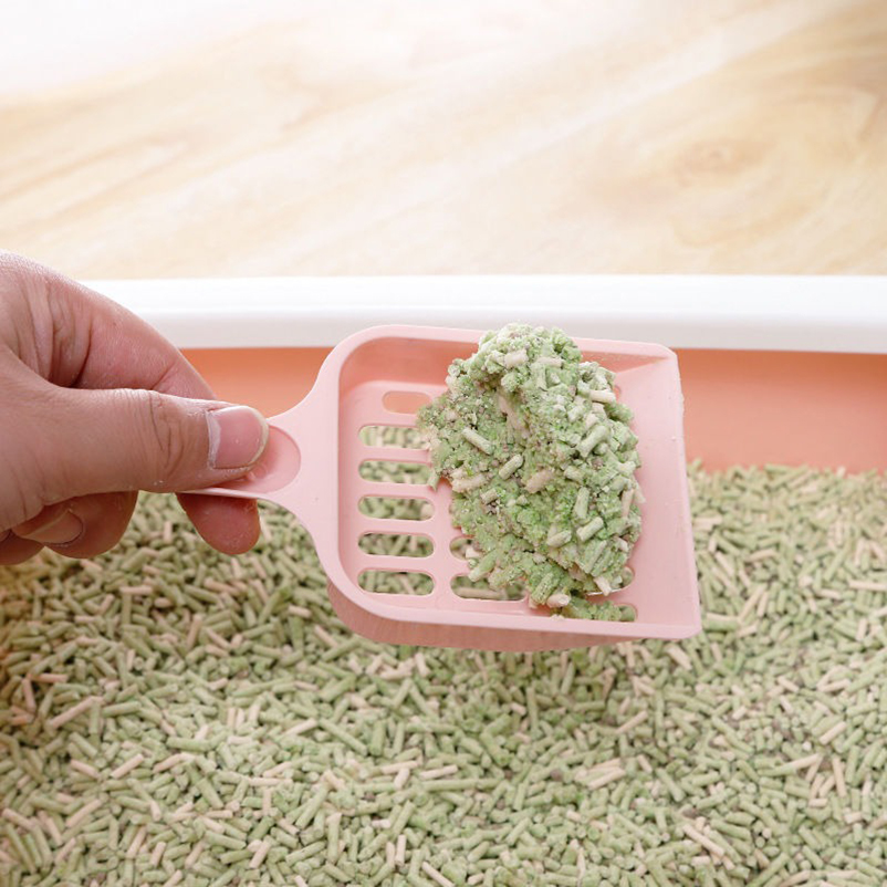 New Style High Value Cat Litte - đánh giá và giá Food Storage With Scoop