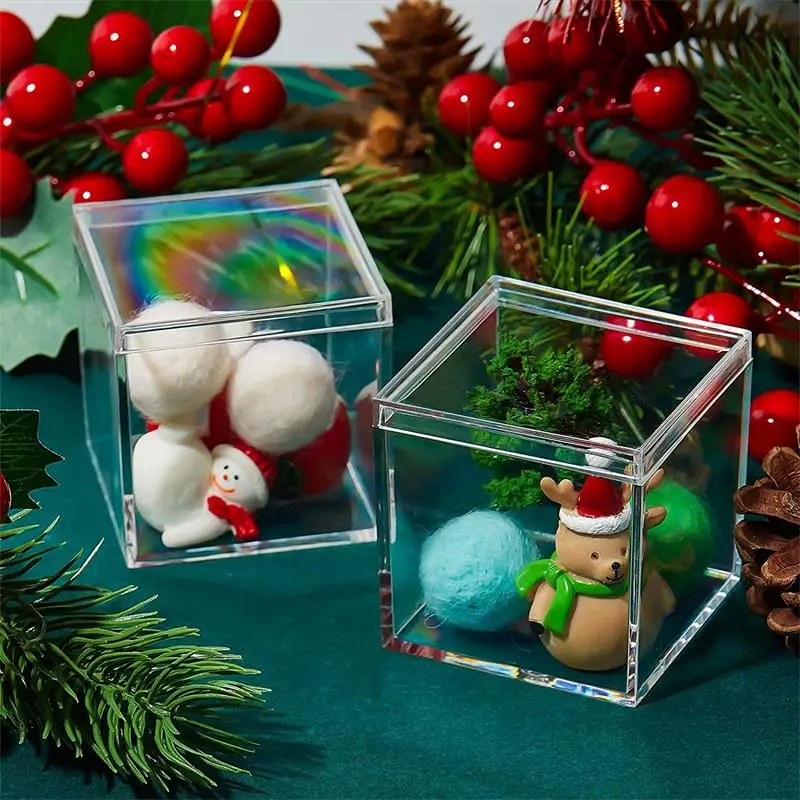 12 PCS Transparent Acrylic Box - đánh giá và giá Food Storage With Dividers